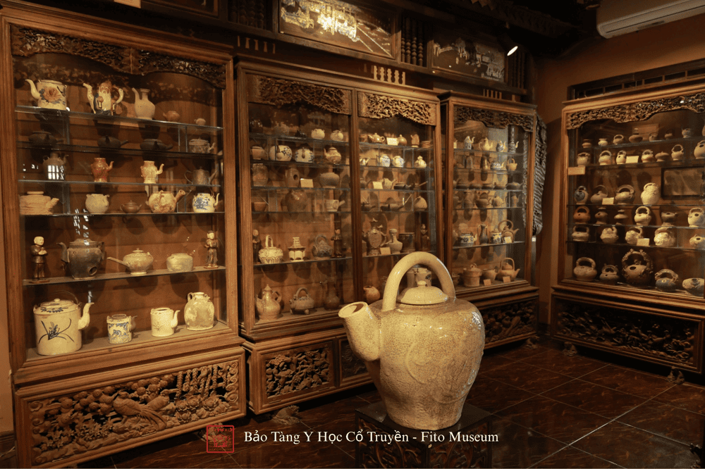 The exhibition room showcases teapots crafted in various regions across Vietnam (Source: Bảo Tàng Y Học Cổ Truyền - Fito Museum)